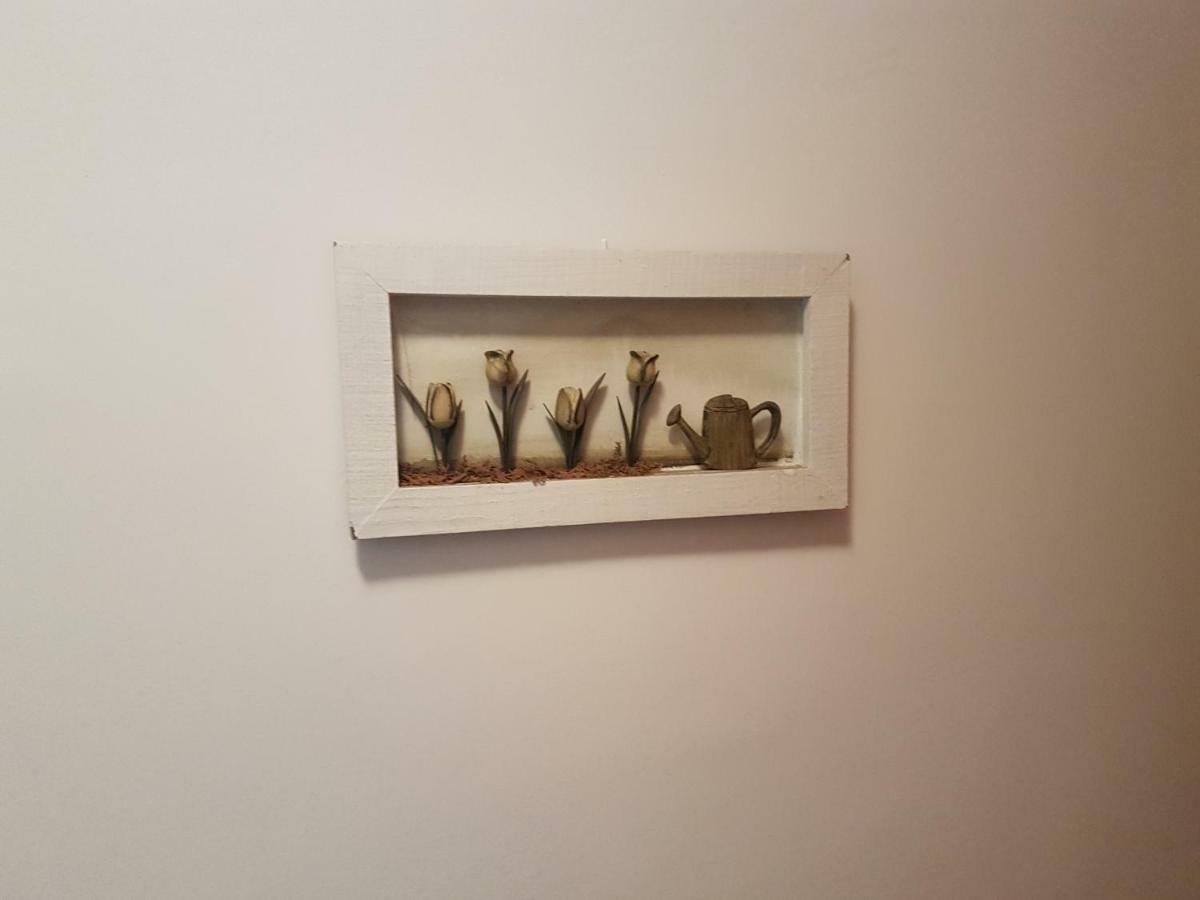 Apartamento Playa San Marcos Icod De Los Vinos Dış mekan fotoğraf